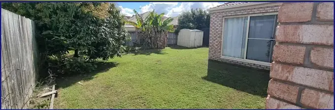 Backyard after the first scheduled mow and edge in Redbank Plains