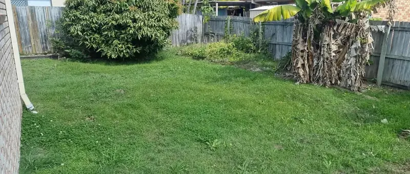 Overgrown backyard lawn before a Beg Your Garden clean-up in Ipswich