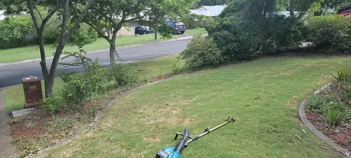 Mower and trimmer on a shaded Ipswich lawn during a winter visit